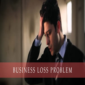 Business Loss Problem Solution Service