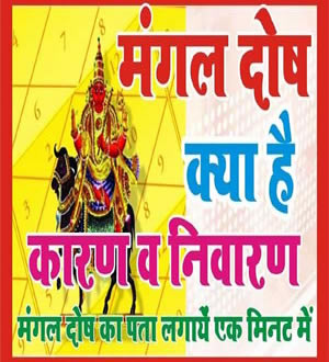 Maglick Vidhi Service